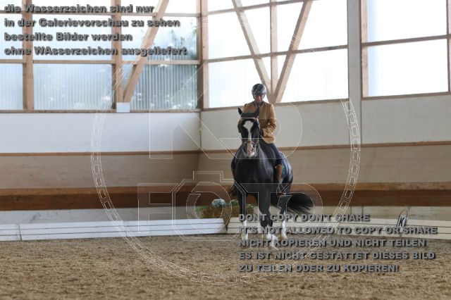 s_IMG_9932.JPG